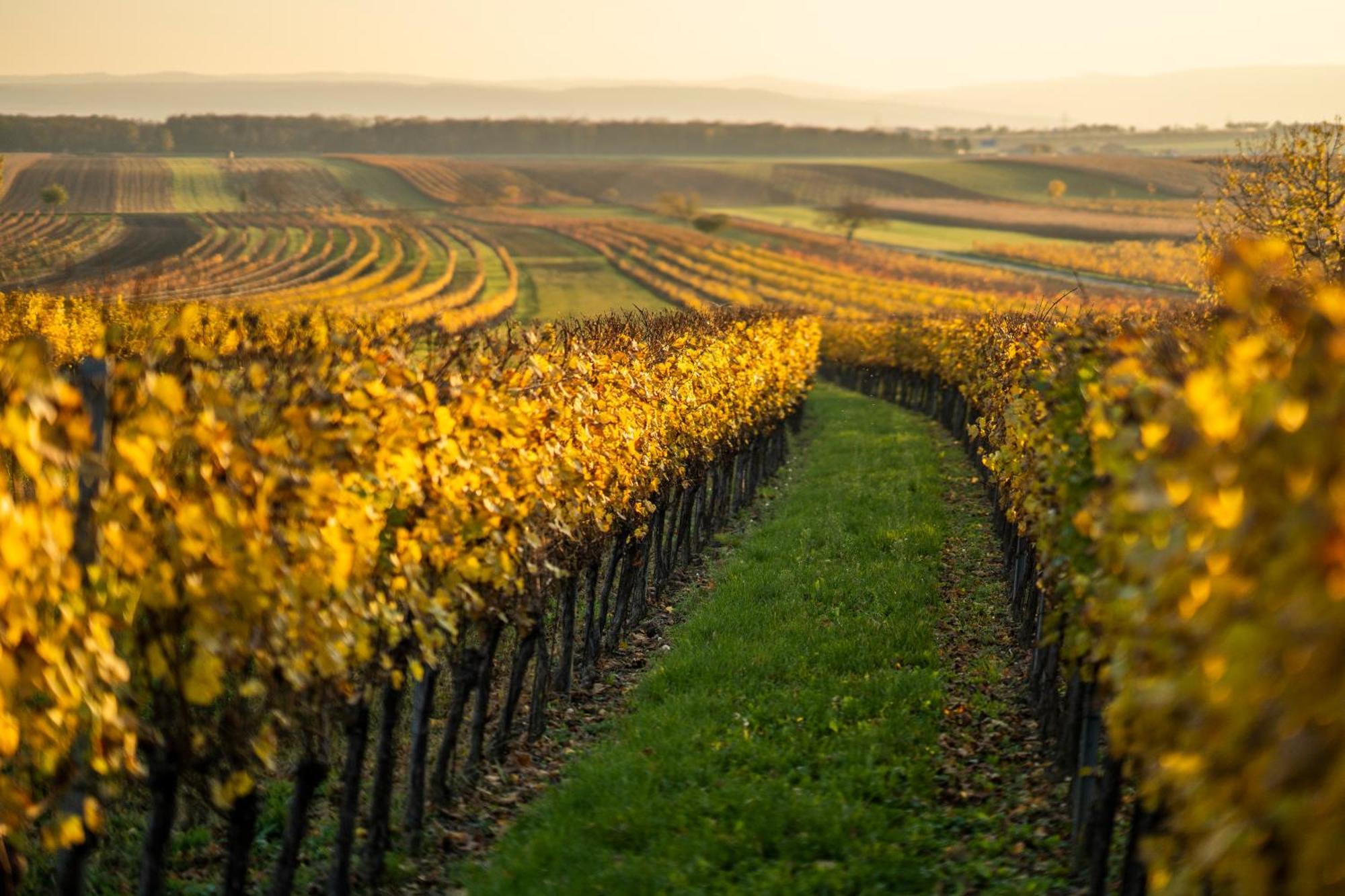 Pannonia